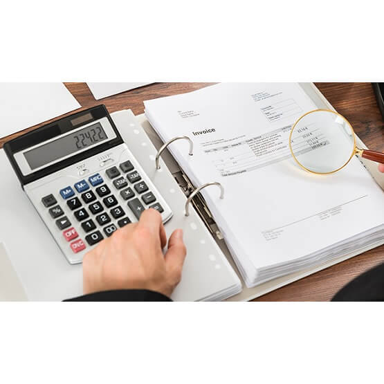 Financial & Compliance Audits